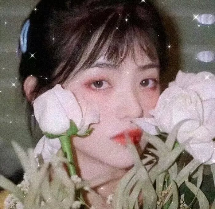 无法和解或有限暴力